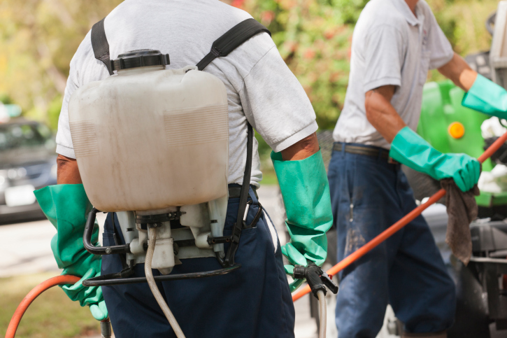 Bed Bug Treatment performed by Chadwick Exterminating in Indianapolis, IN