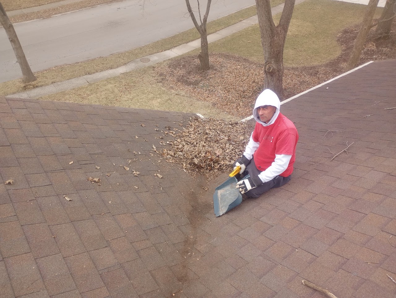 Termite Inspection performed by Chadwick Exterminating in Indianapolis, IN