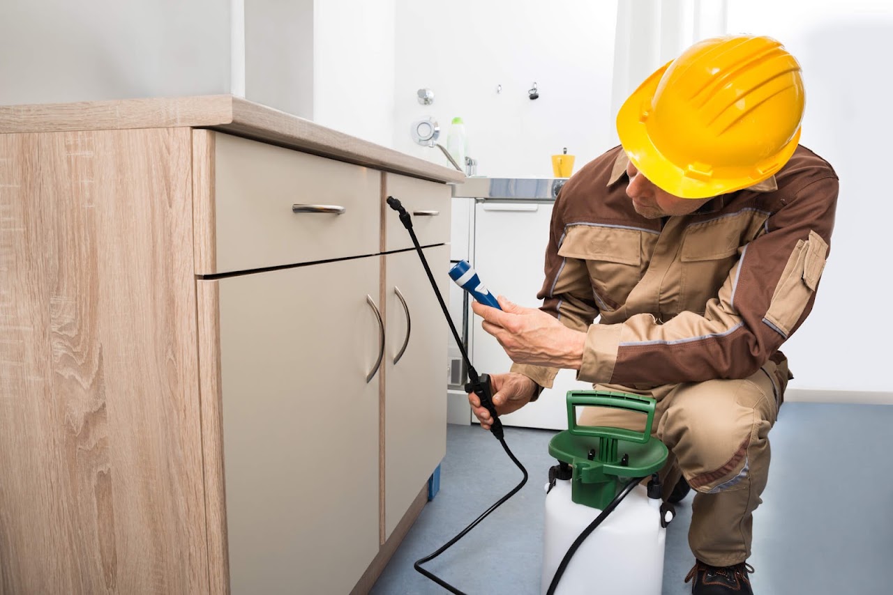 Mice & Rat Removal performed by Chadwick Exterminating in Indianapolis, IN