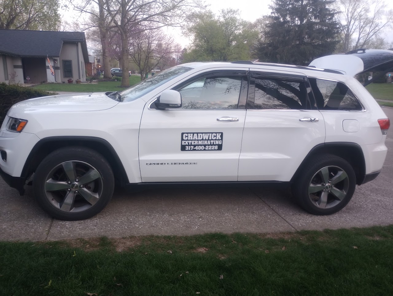 Wasp Nest Removal performed by Chadwick Exterminating in Indianapolis, IN