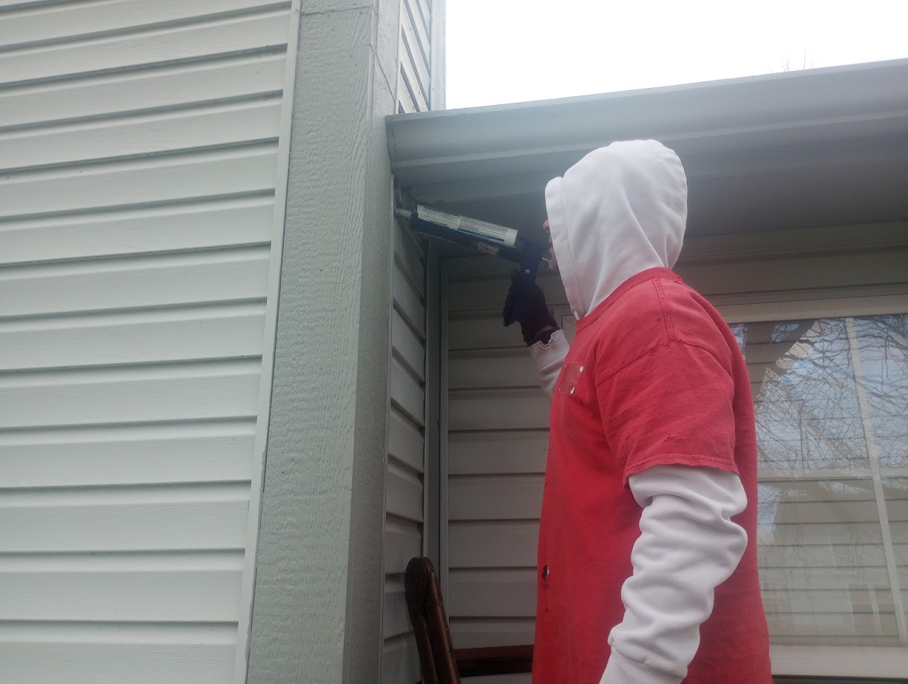 Termite Treatment performed by Chadwick Exterminating in Indianapolis, IN